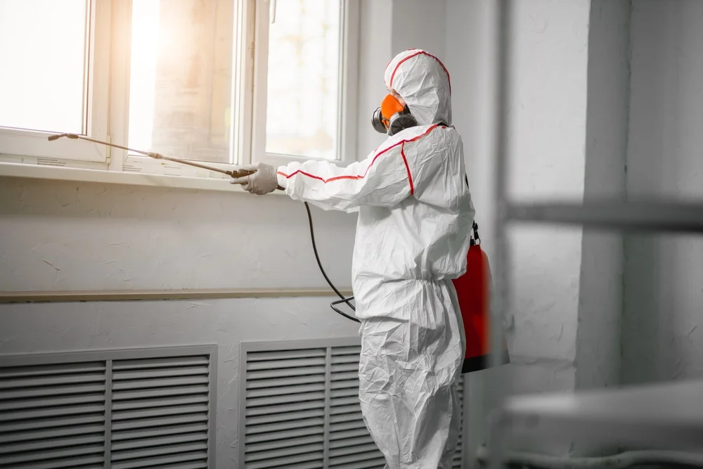 Professional mold remediation services in West Dennis, MA